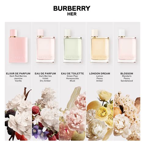 burberry for women perfume smells like|burberry perfume price in dollars.